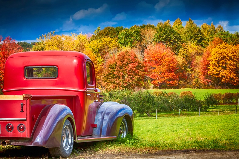 Autumn Drive-In