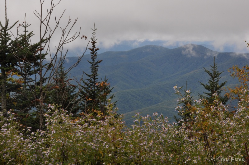 Up to Clingmans Dome