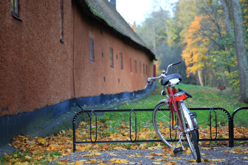 Bicycle in Autumn