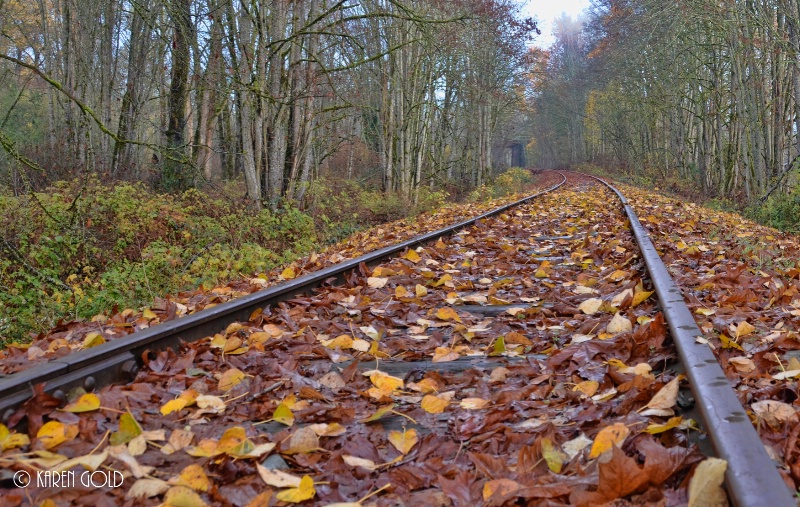 Autumn Rails