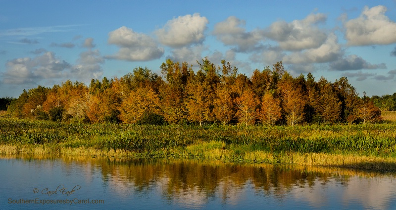 Green Cay in Autumn