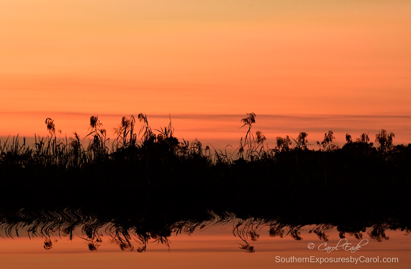 Autumn Sunset on the Everglades