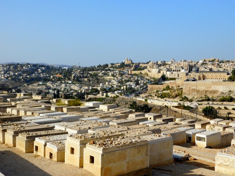 TOMBS AND THE CITY