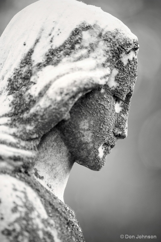 B&W Angel 11-11-15 J128