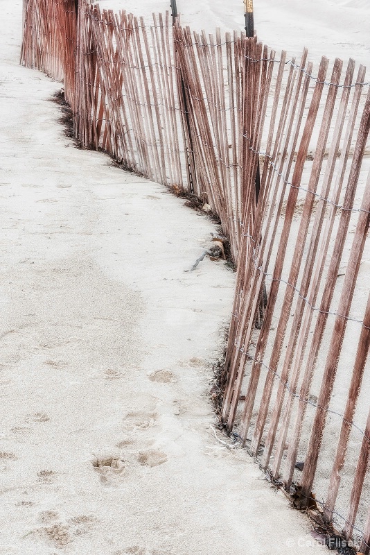 Snow Fences in the Sand