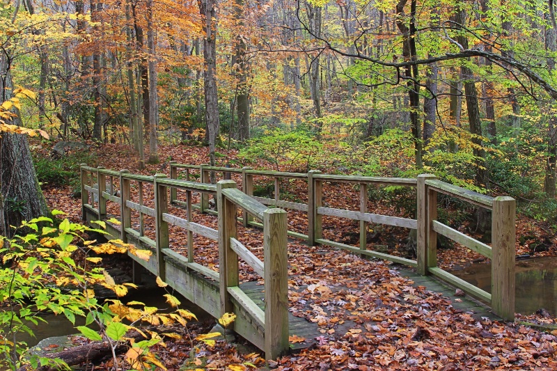 Autumn Bridge