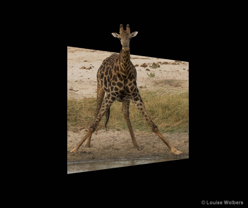 3D Giraffe