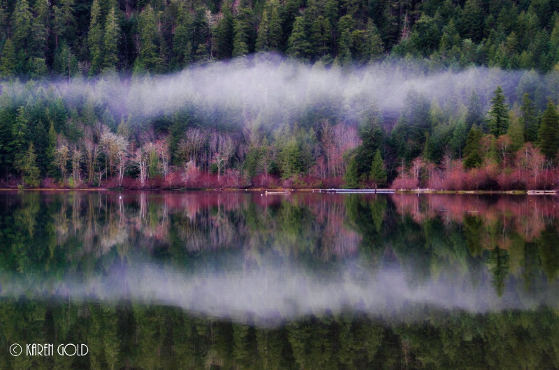 Reflection at Cameron Lake