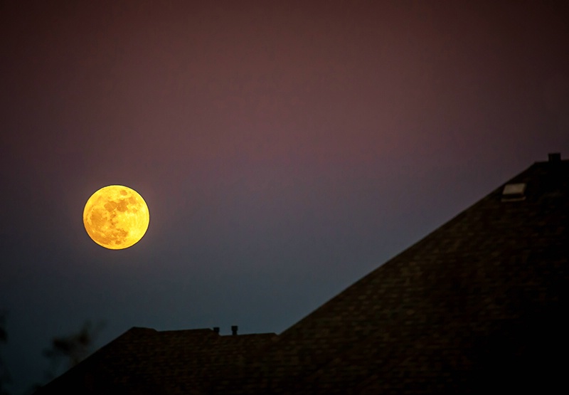 Christmas Moon