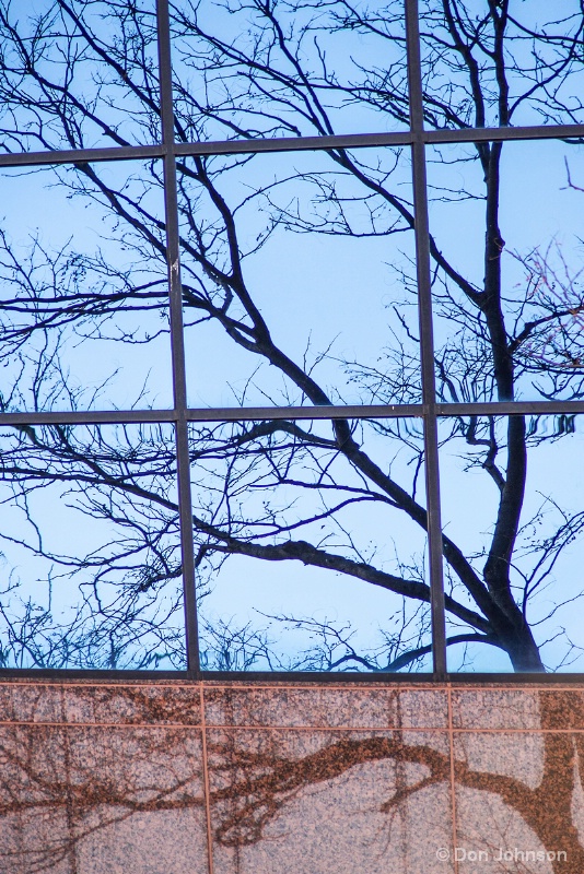 Inside or Outside Tree 11-11-15 055