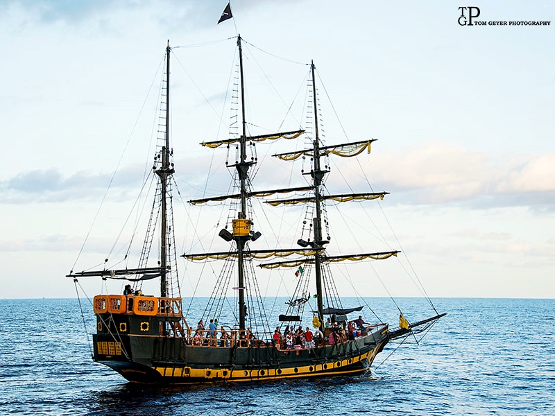 Ahoy There Mateys!
