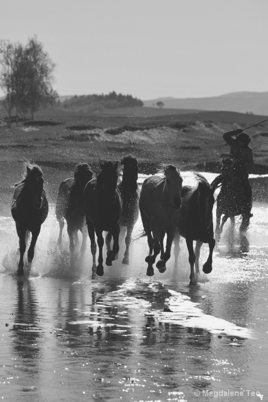 Horses running over Water