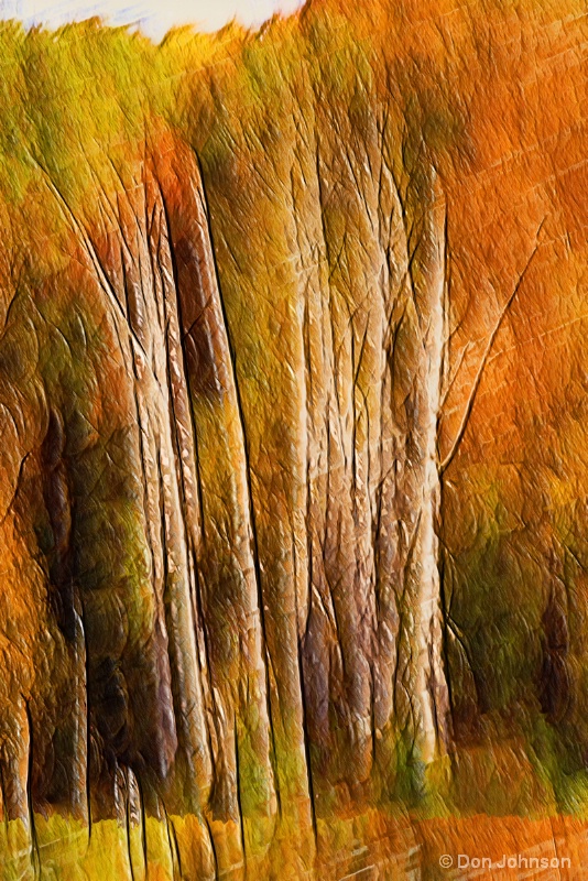 Artistic Fall Trees Abstract 10-26-15 280