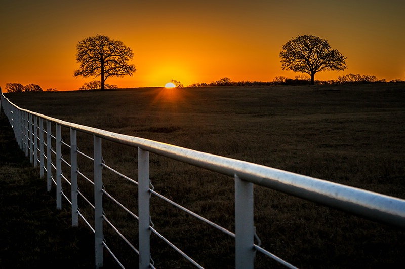 Morning Arrives