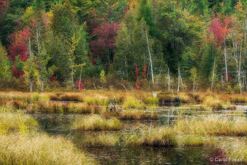 Transitions