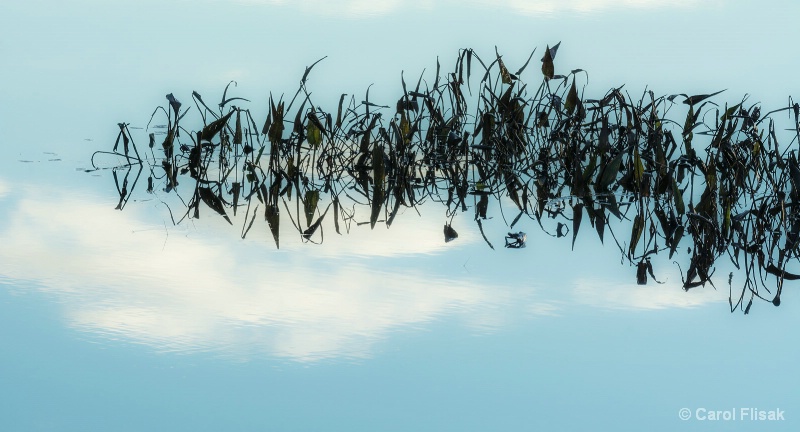 Scribbles in the Sky