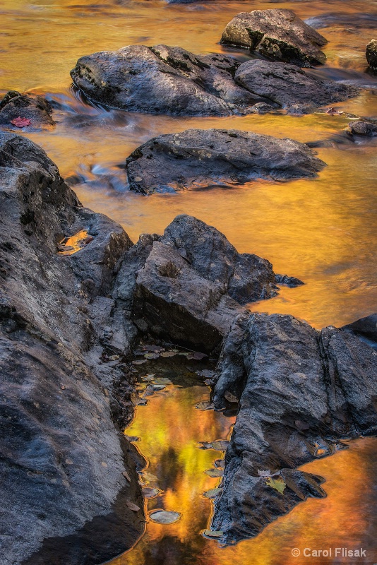 Golden Waters and Rocks