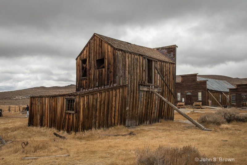 bodie-8342