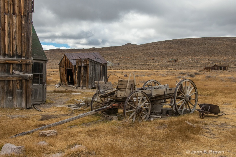 bodie-8362