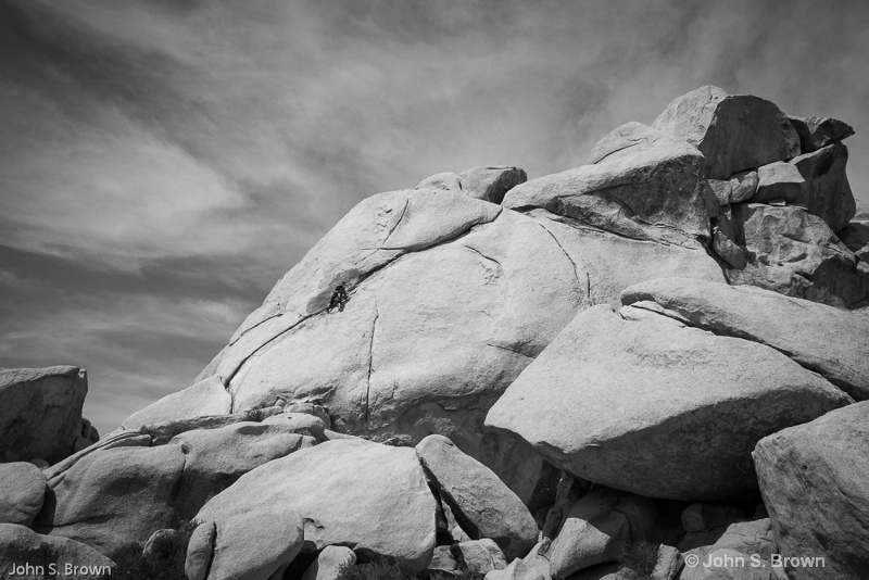 joshua tree-19