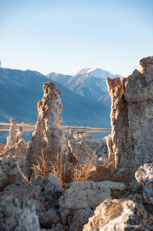 mono lake-5089