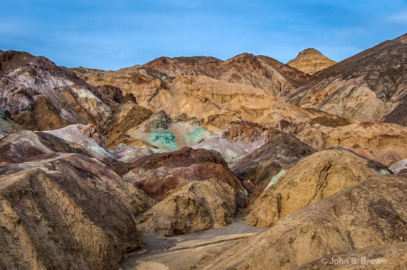 joshua tree-0293