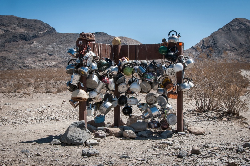 joshua tree-0379