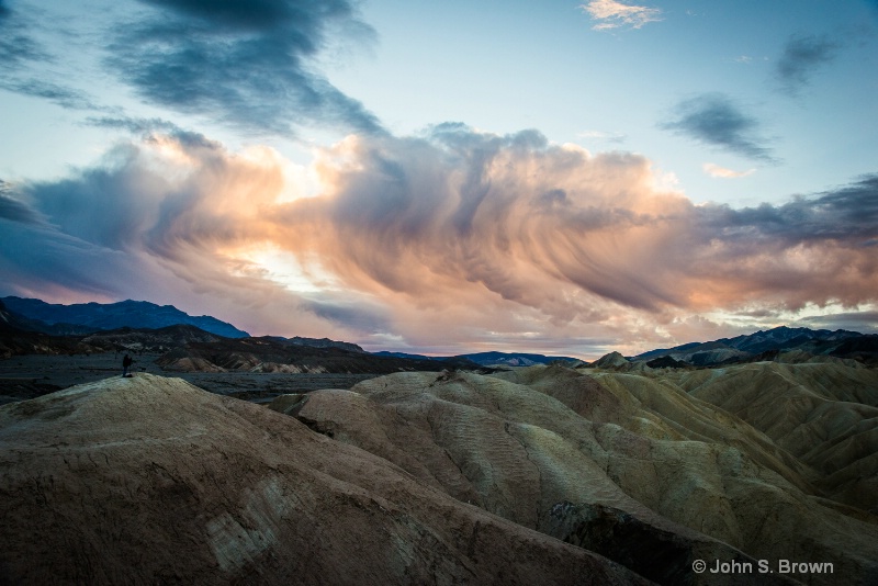 joshua tree-9317