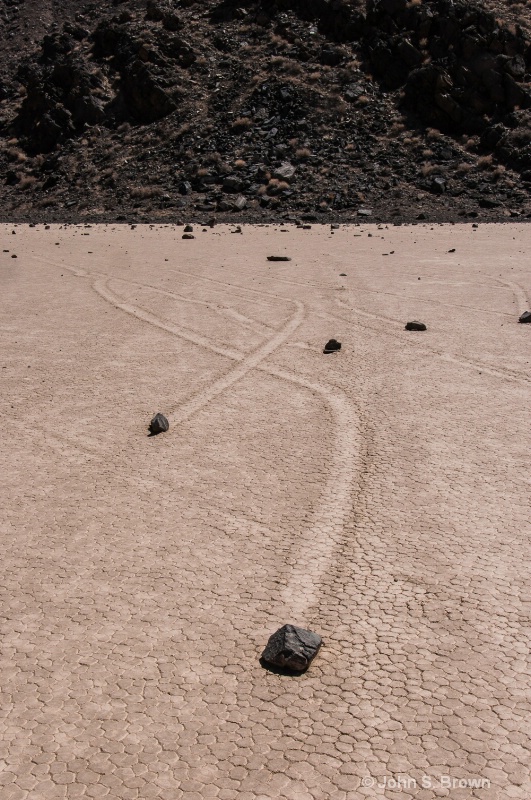 joshua tree-0497