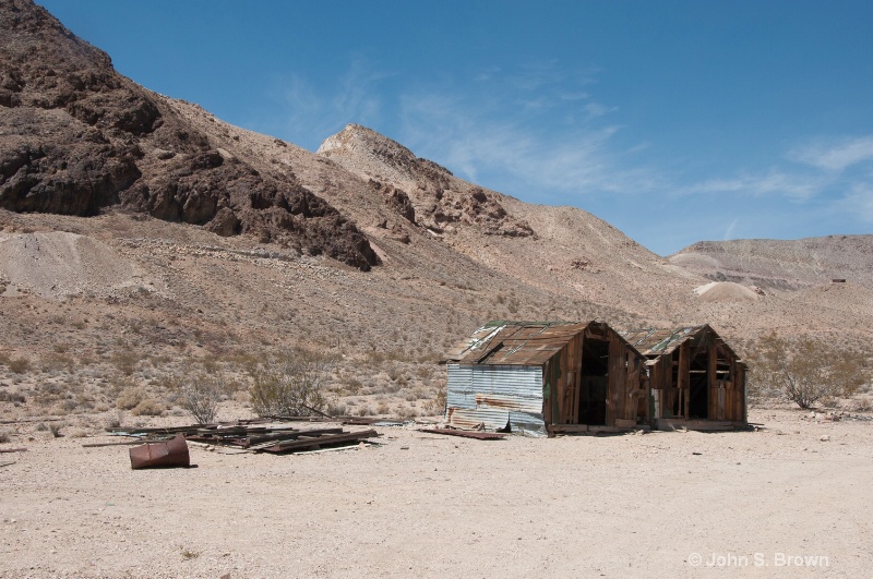 joshua tree-0176