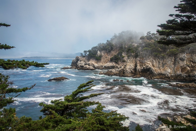 point lobos-9426