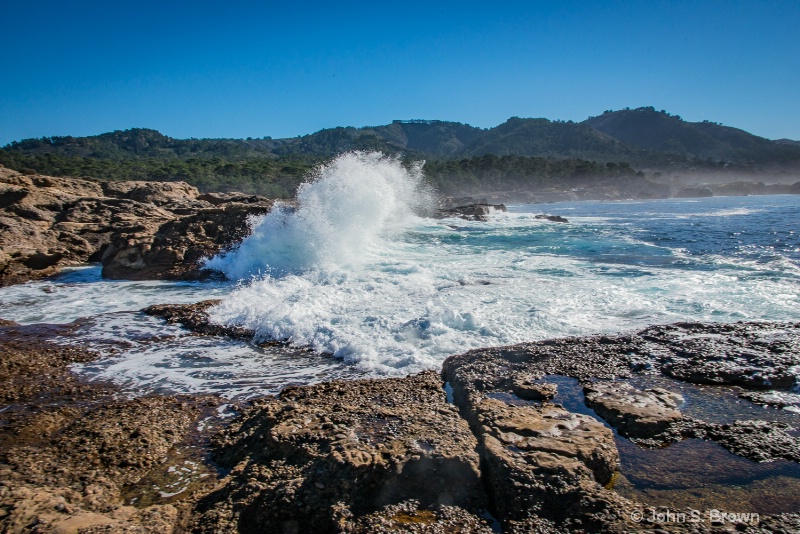 point lobos-0899