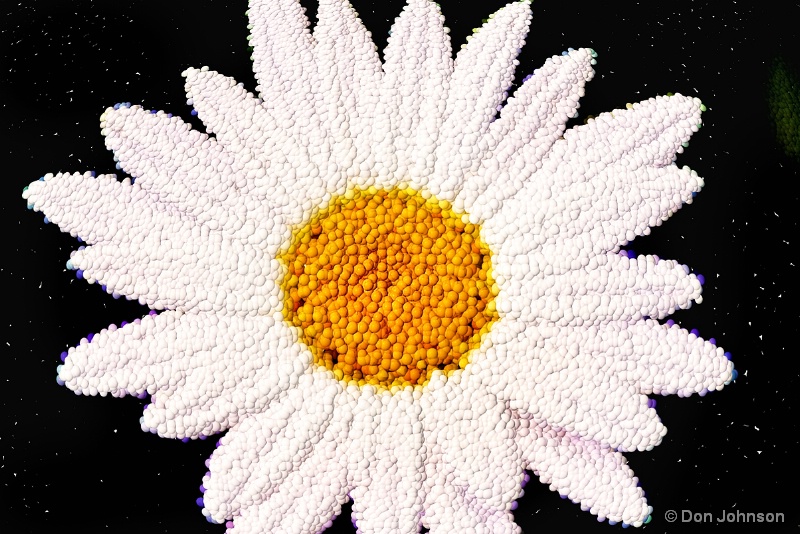 Artistic VA Daisy 7-17-15 243