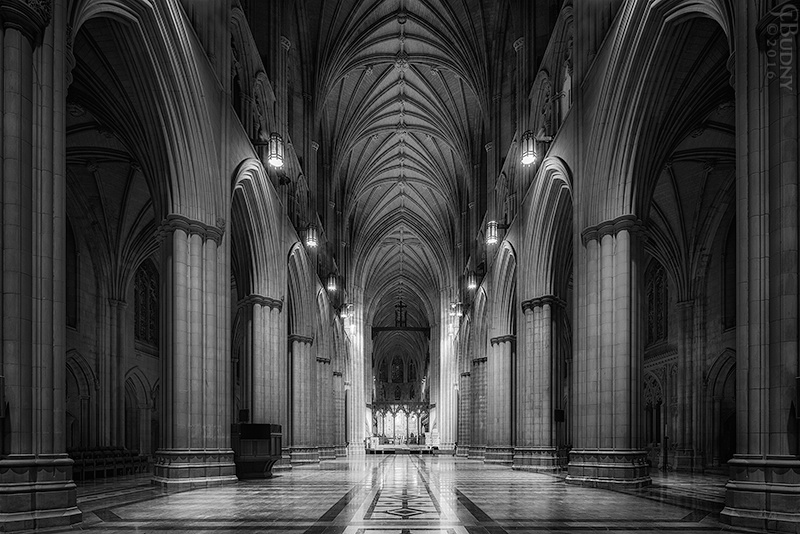 Night in the Nave