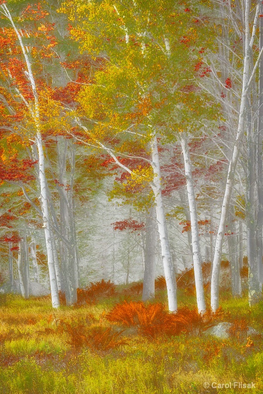 New Hampshire Fall Colors