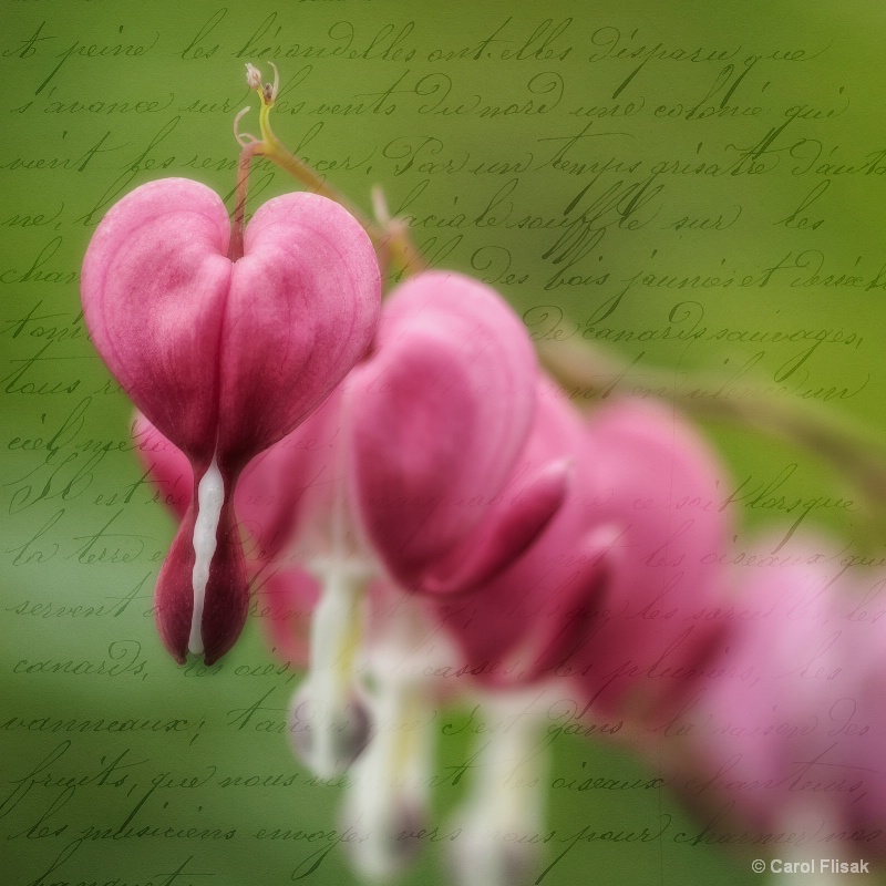 Love Letter from the Heart