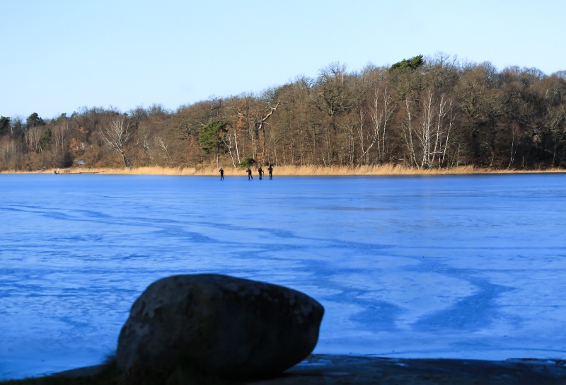 Frozen Lake Skaters