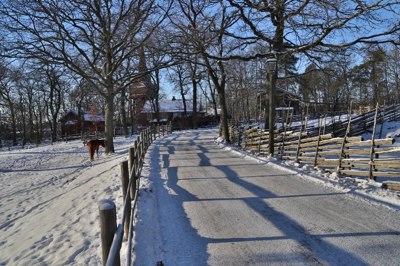 Winter Pathway