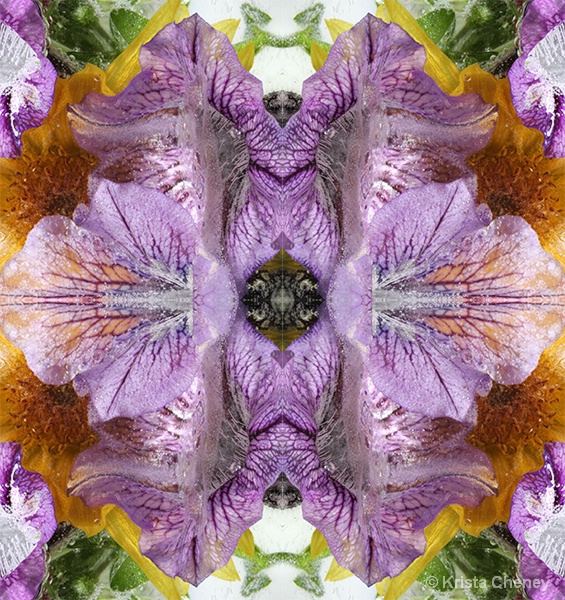 Petunia in ice—kaleidoscopic