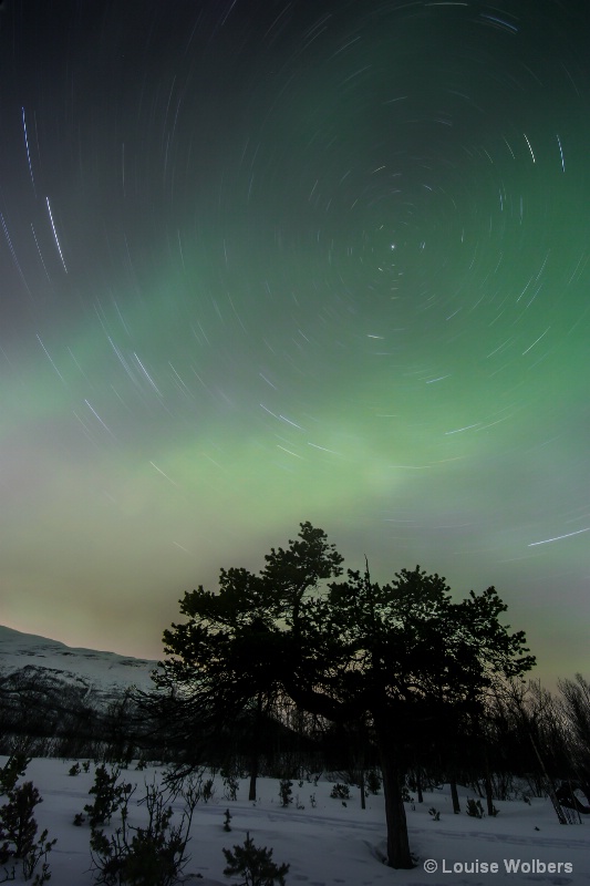 Aurora Over the Northern Star