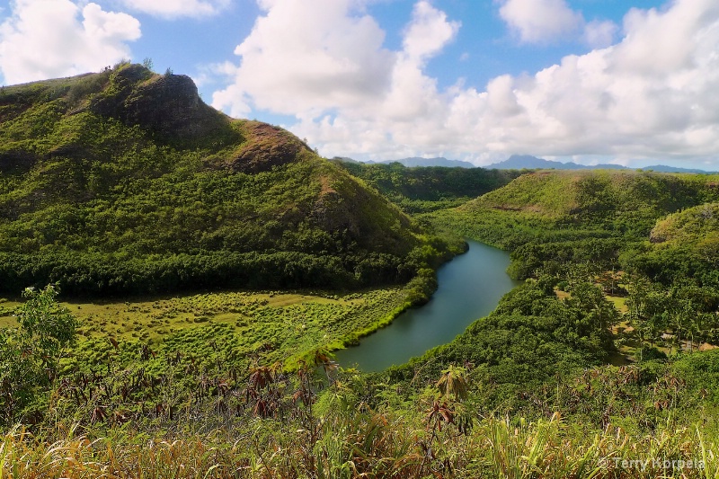 Scenic View in Kauai