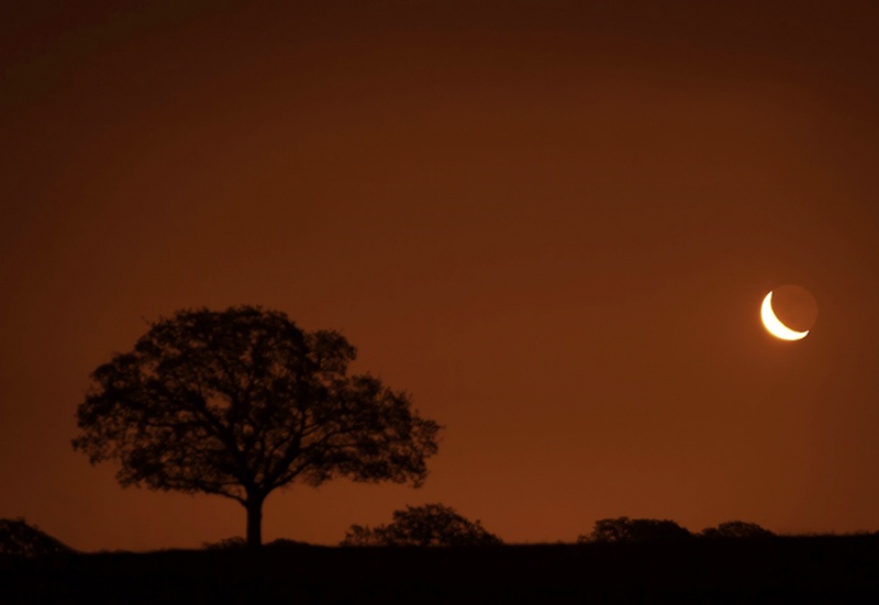 Morning's Moon