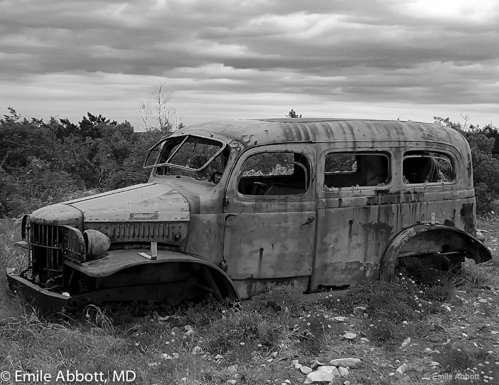 Old Workhorse in B&W