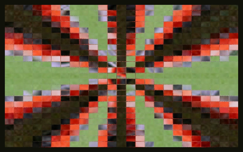 62