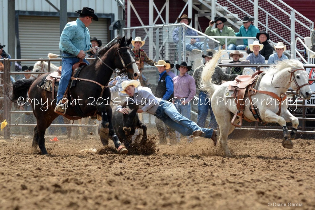 Cooper Sisam UHS SF16 SW 3.JPG