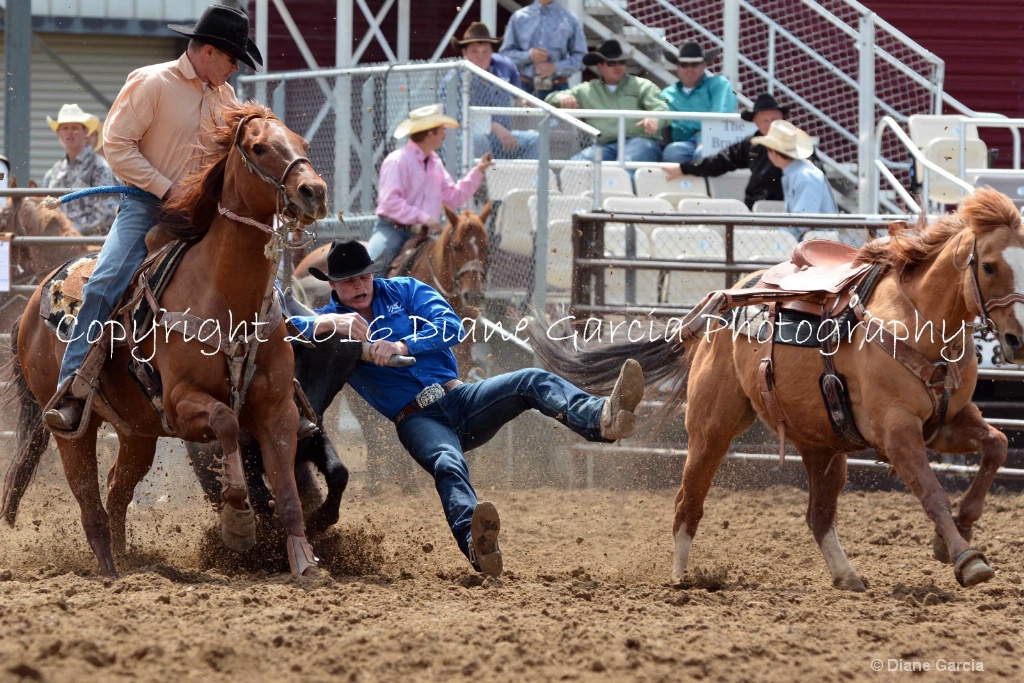 Conner Mckell UHS SF16 SW 3.JPG