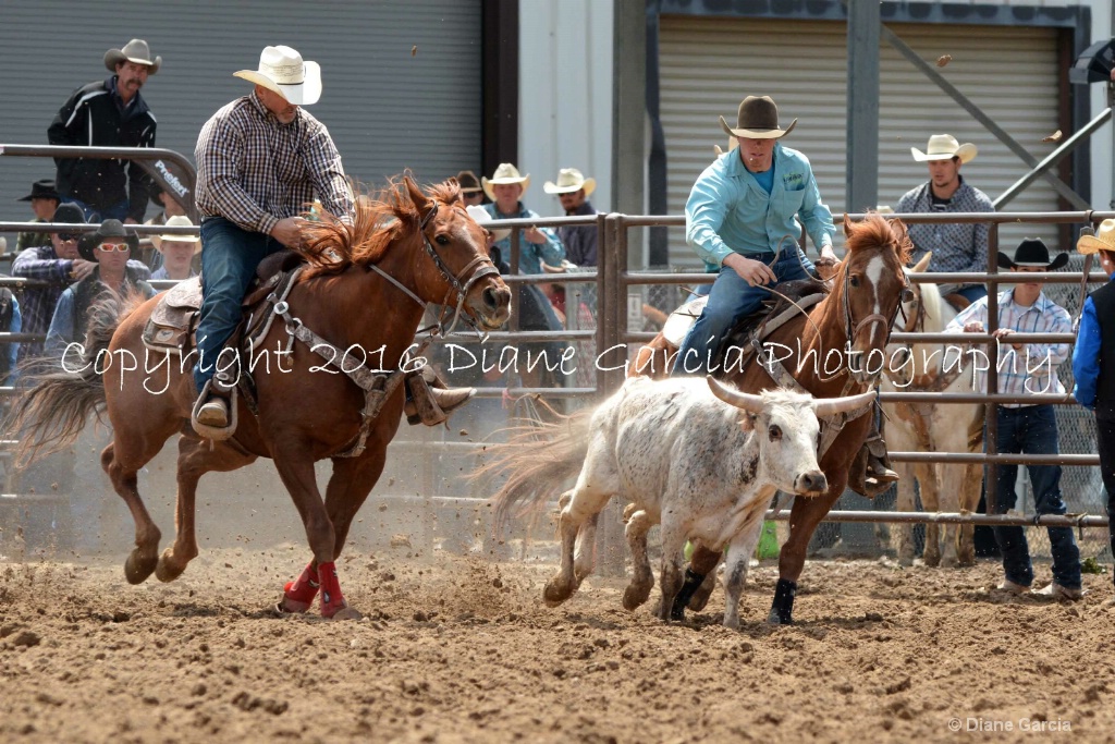 Bodell Jessen UHS SF16 SW 1.JPG