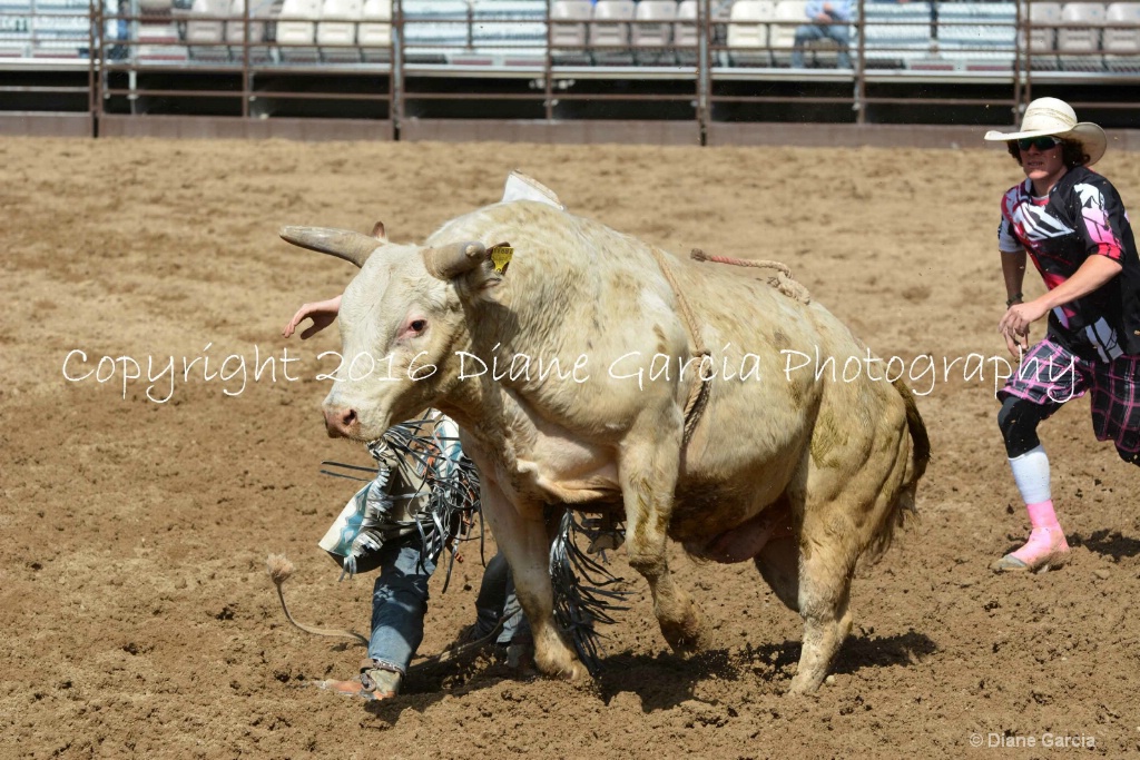 UHS Rodeo SF16 Bulls 71.JPG