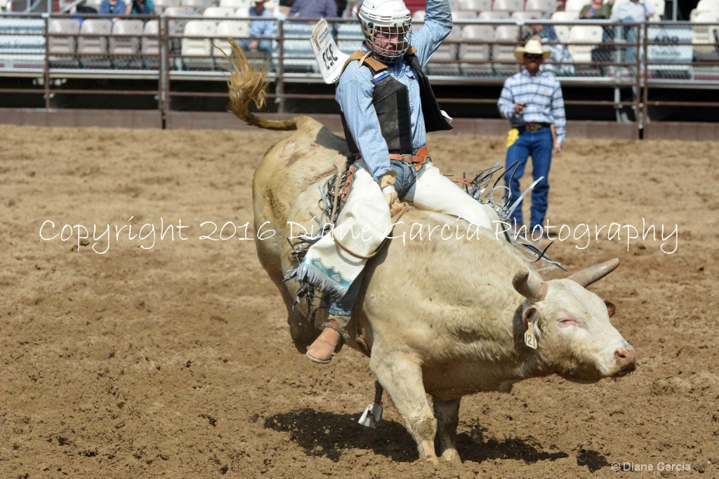 UHS Rodeo SF16 Bulls 69.JPG