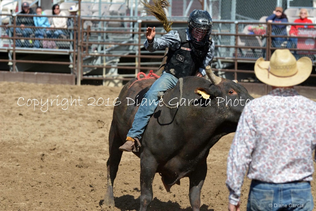 UHS Rodeo SF16 Bulls 27.JPG